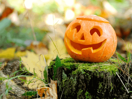 Halloween Guide: Alles, was du für ein nachhaltiges Halloween brauchst