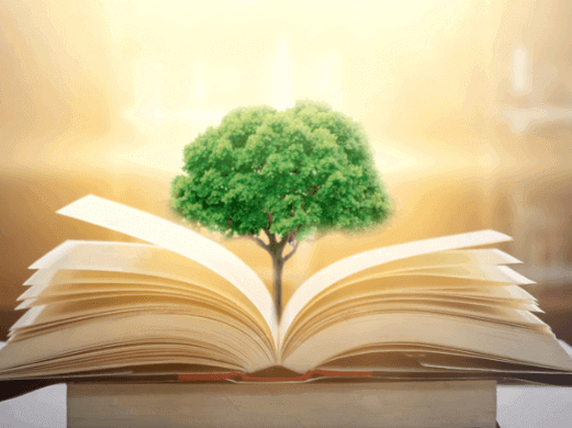Open book with tree growing out of it