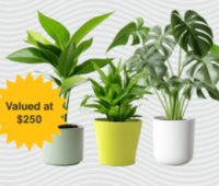 $250 Plant Bundle Rewards