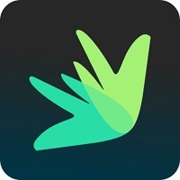 Dovly AI