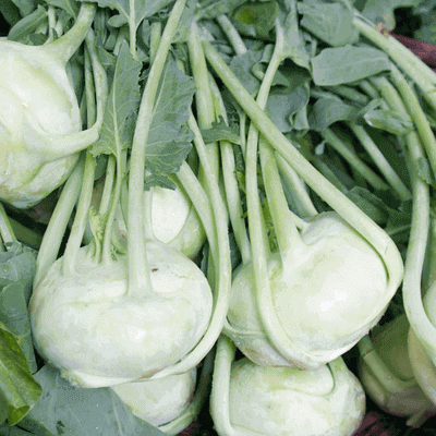 Kohlrabi