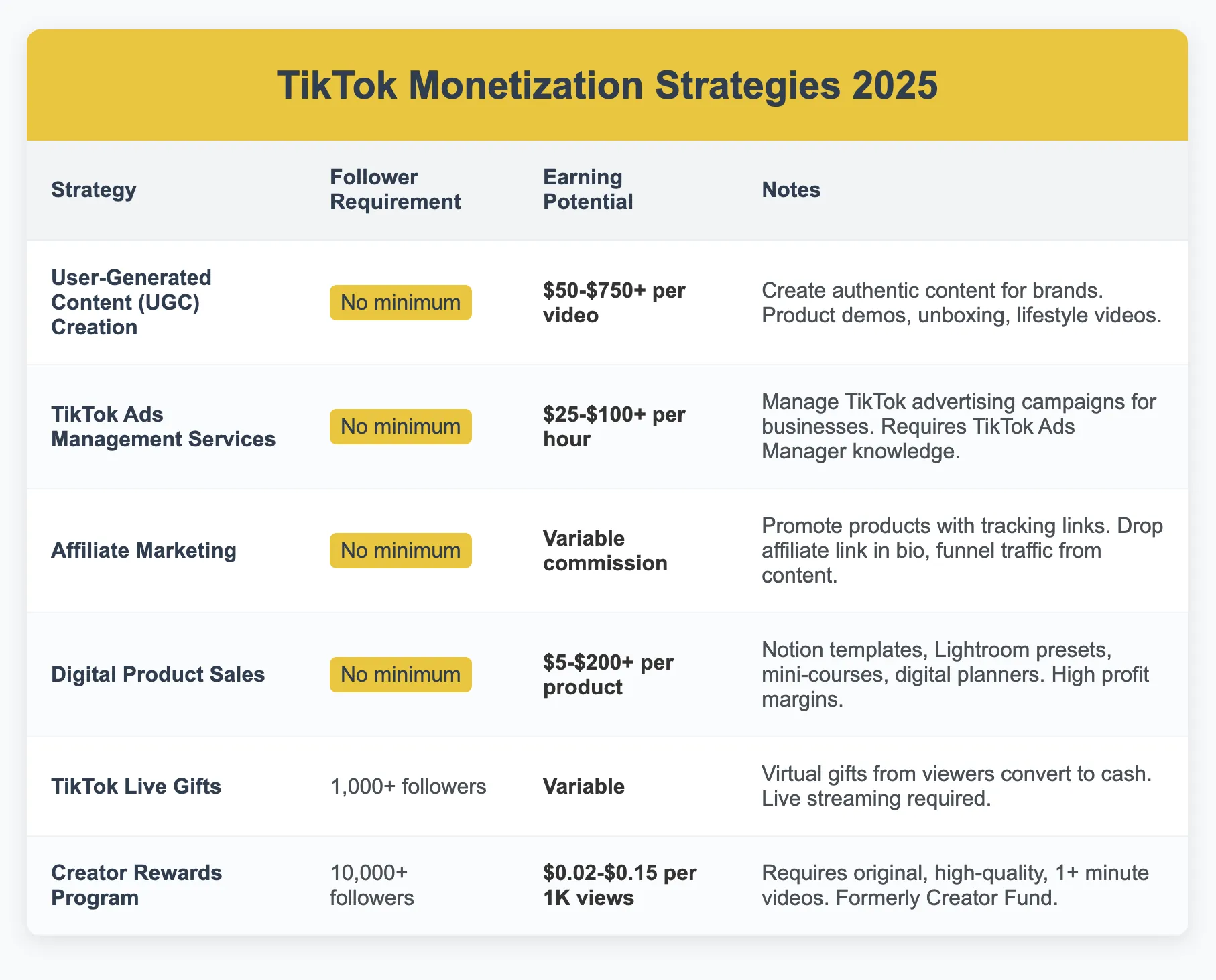 TikTok Monetization Strategies 2025